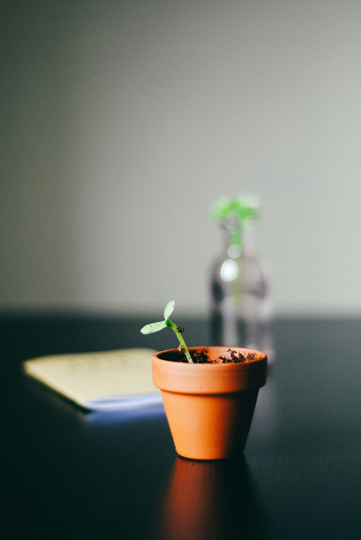Assembling Elite Teams: A Shelfgrow Approach